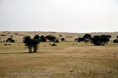 03 Camelride,_Sanddunes,_Kuri_DSC3395_b_H600